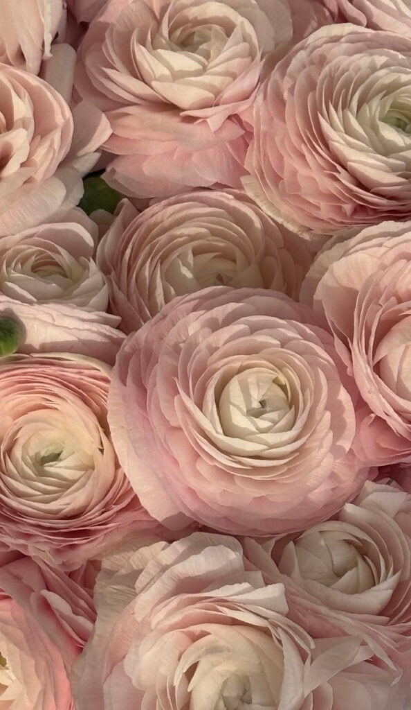 Life_In_Bloom_UK_Local Florist’s Guide_5 - Life In Bloom