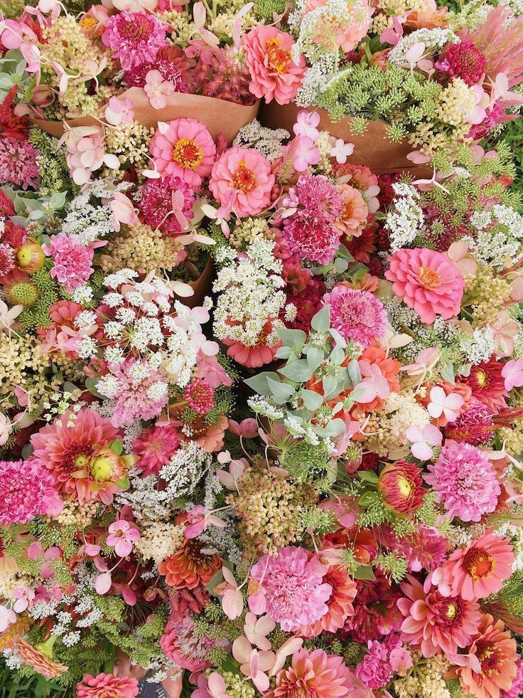 Life_In_Bloom_UK_Seasonal Colour Palettes_02 - Life In Bloom